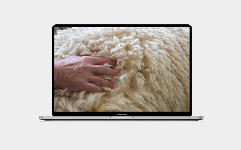 The Sustainability of Wool 15.11.2021