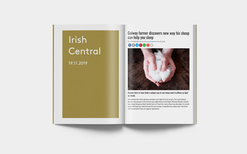 Irish Central 19.11.2019