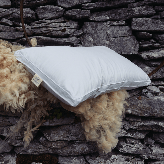 Woolow Lavender Wool Pillow